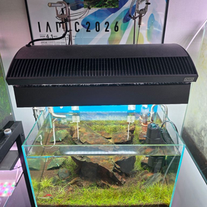 ADA RGB 솔라 이미지