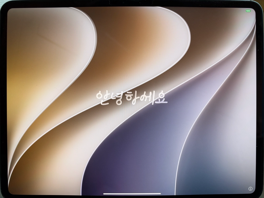 아이패드 프로 13 M4 256 셀룰러 배터리성능 100% 이미지
