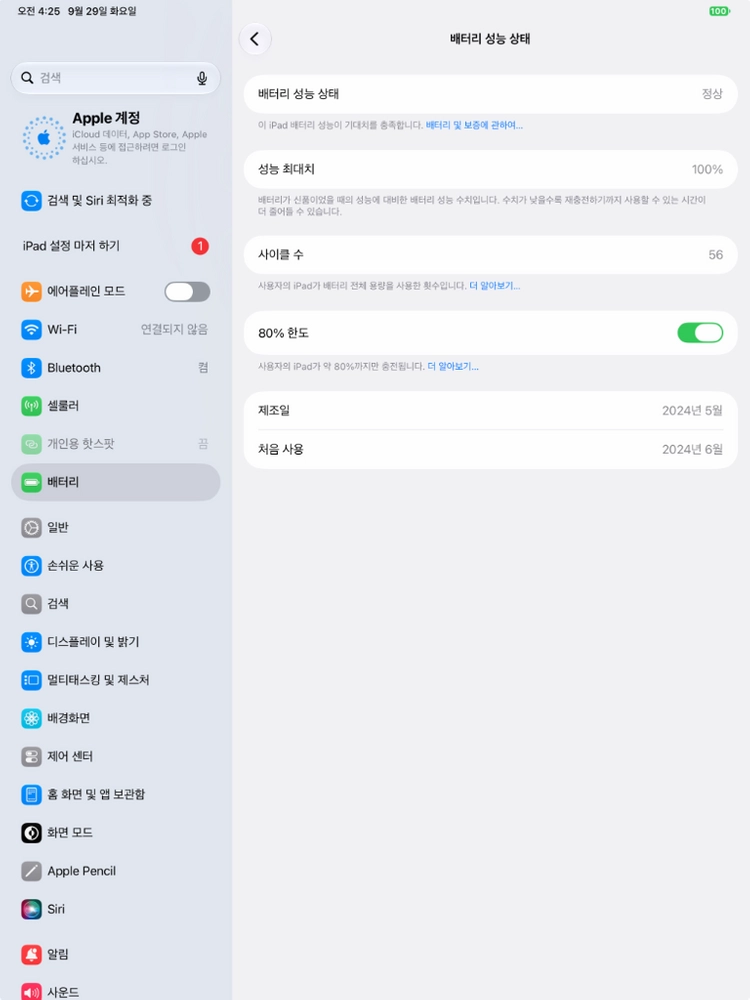 아이패드 프로 13 M4 256 셀룰러 배터리성능 100% 이미지