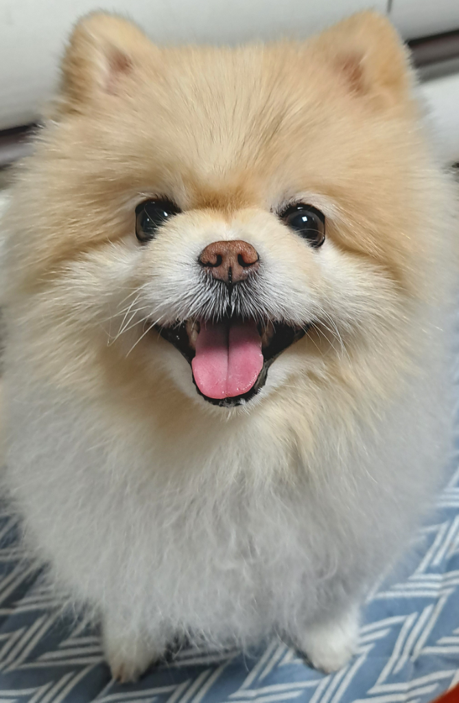프로필 이미지