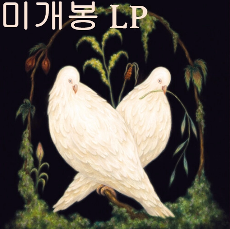 페이퍼리버 (Paper River) - Where, There Was (미개봉,LP) 이미지