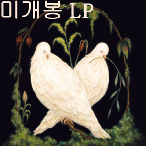 페이퍼리버 (Paper River) - Where, There Was (미개봉,LP) 이미지