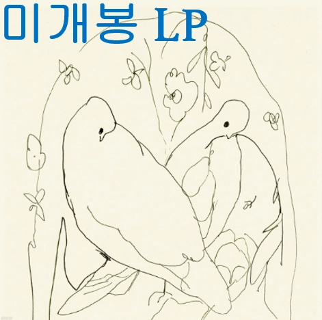 페이퍼리버 (Paper River) - why why (미개봉, LP) 이미지