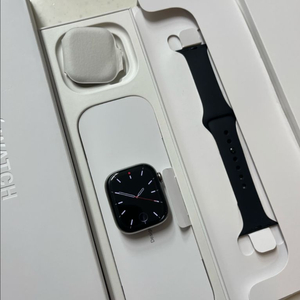 애플워치10티타늄 42mm 내추럴 SS급 이미지