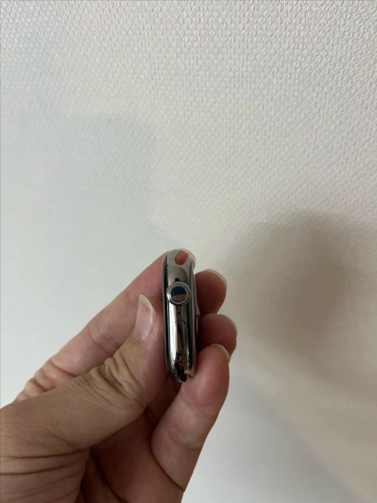 애플워치10티타늄 42mm 내추럴 SS급 이미지