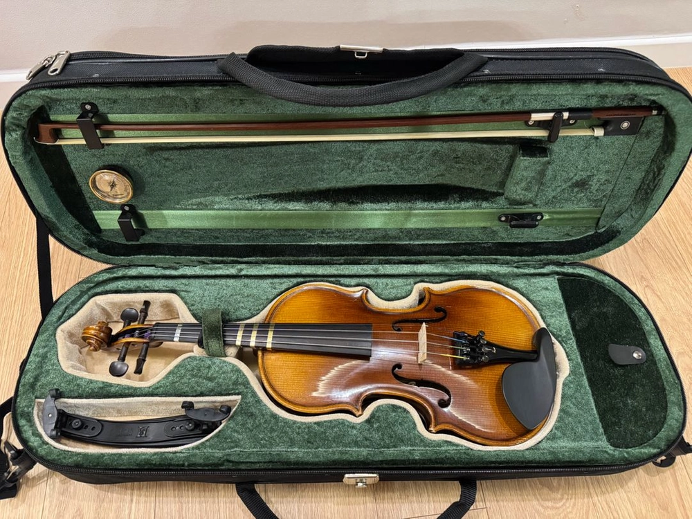 효정바이올린 hv-250 1/2 사이즈 도미넌트현 이미지