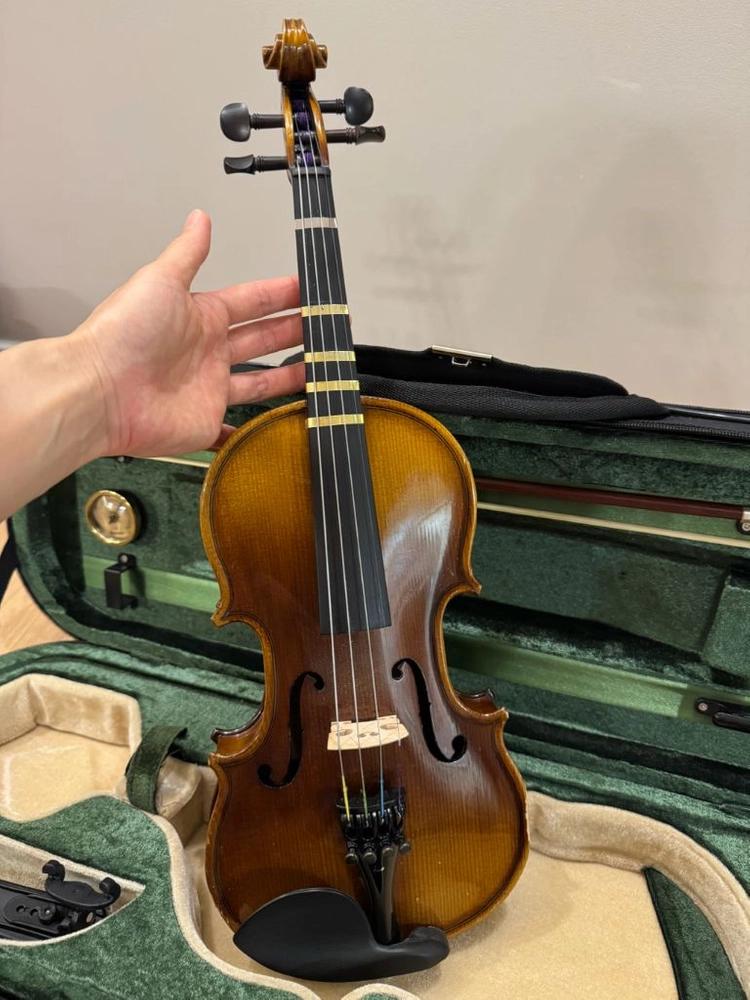 효정바이올린 hv-250 1/2 사이즈 도미넌트현 이미지