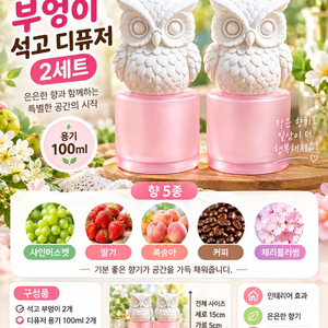 석고 방향제 & 부엉이 디퓨저 이미지