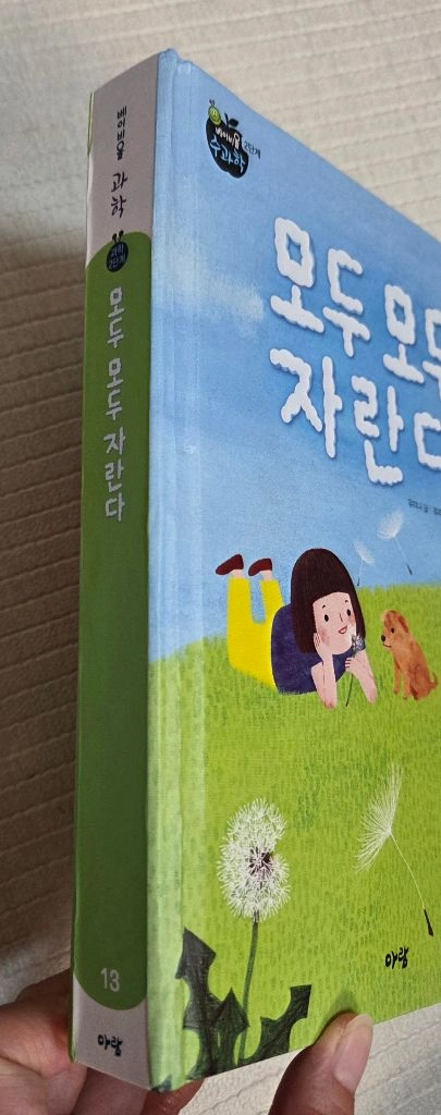 아람 베이비올 수과학 이미지