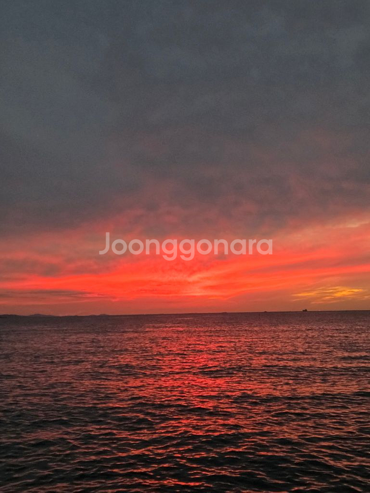 280~310 고무보트 삽니다