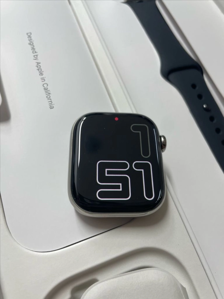 애플워치10티타늄 42mm 내추럴 SS급 이미지