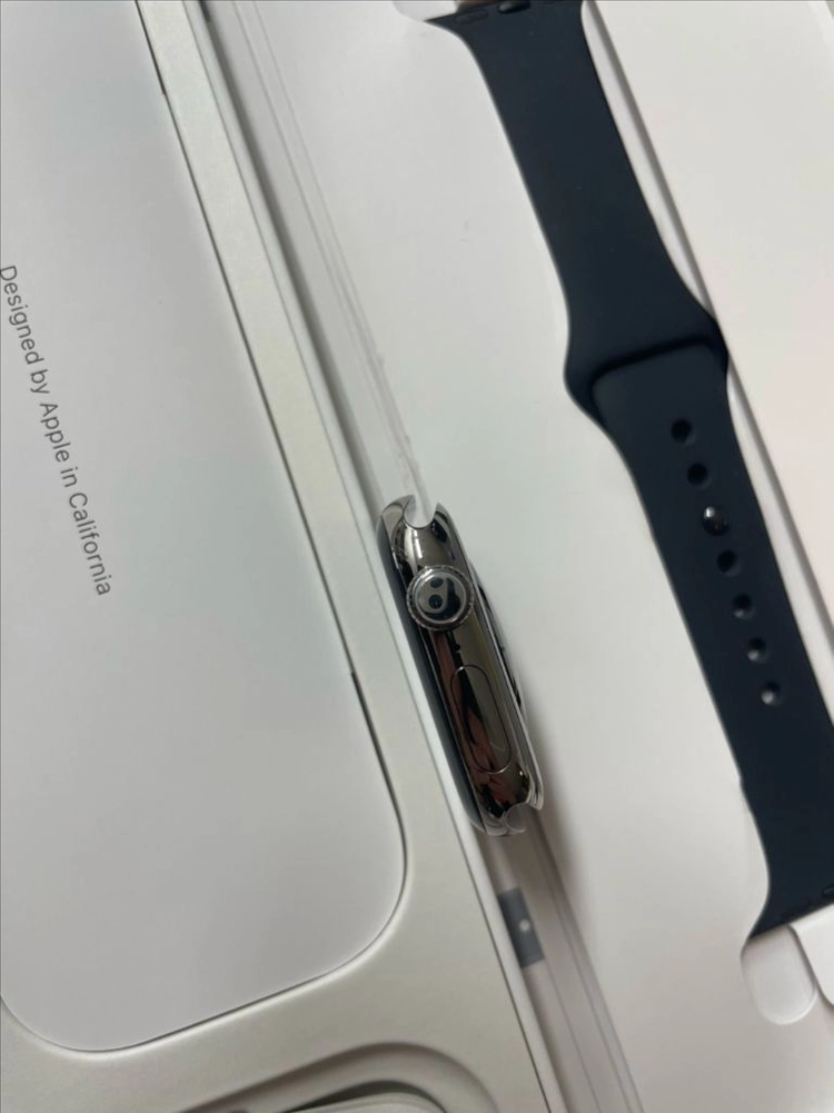 애플워치10티타늄 42mm 내추럴 SS급 이미지