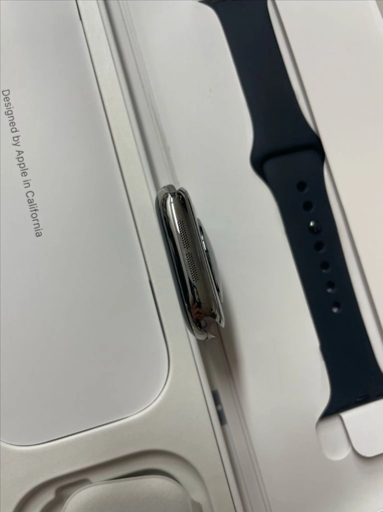 애플워치10티타늄 42mm 내추럴 SS급 이미지