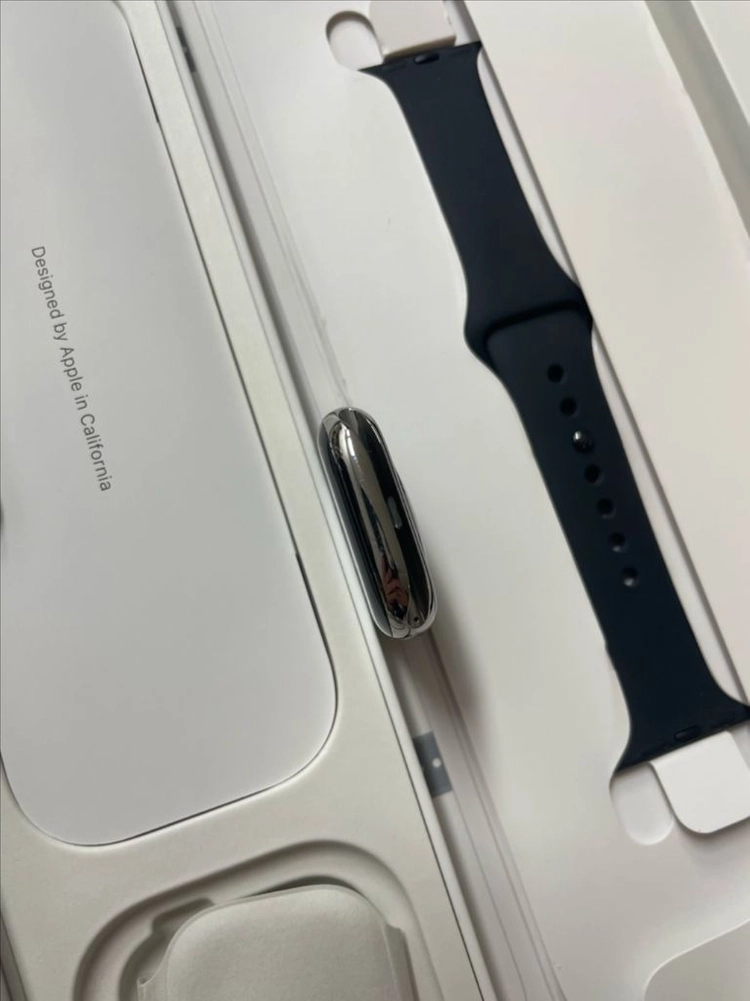애플워치10티타늄 42mm 내추럴 SS급 이미지