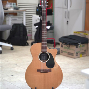 마틴 기타 Martin GPCX1AE 20th Anniversary 이미지