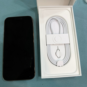 아이폰 16 프로맥스 256GB 데저트티타늄 이미지
