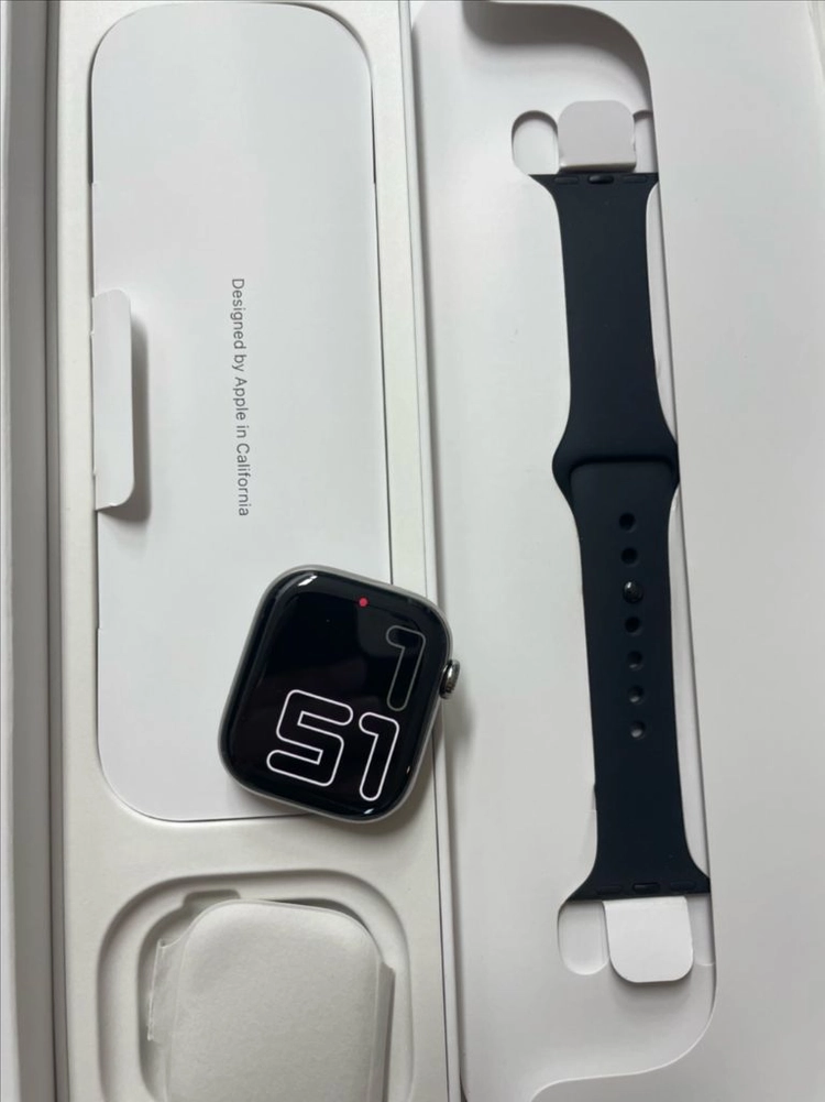 애플워치10티타늄 42mm 내추럴 SS급 이미지