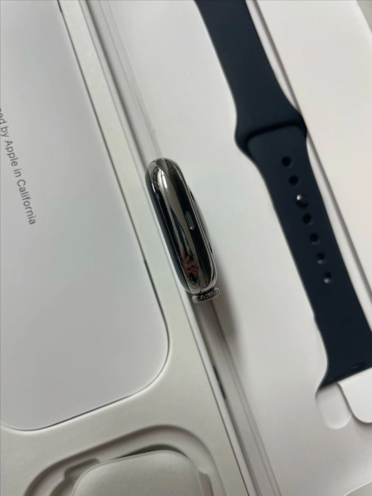 애플워치10티타늄 42mm 내추럴 SS급 이미지