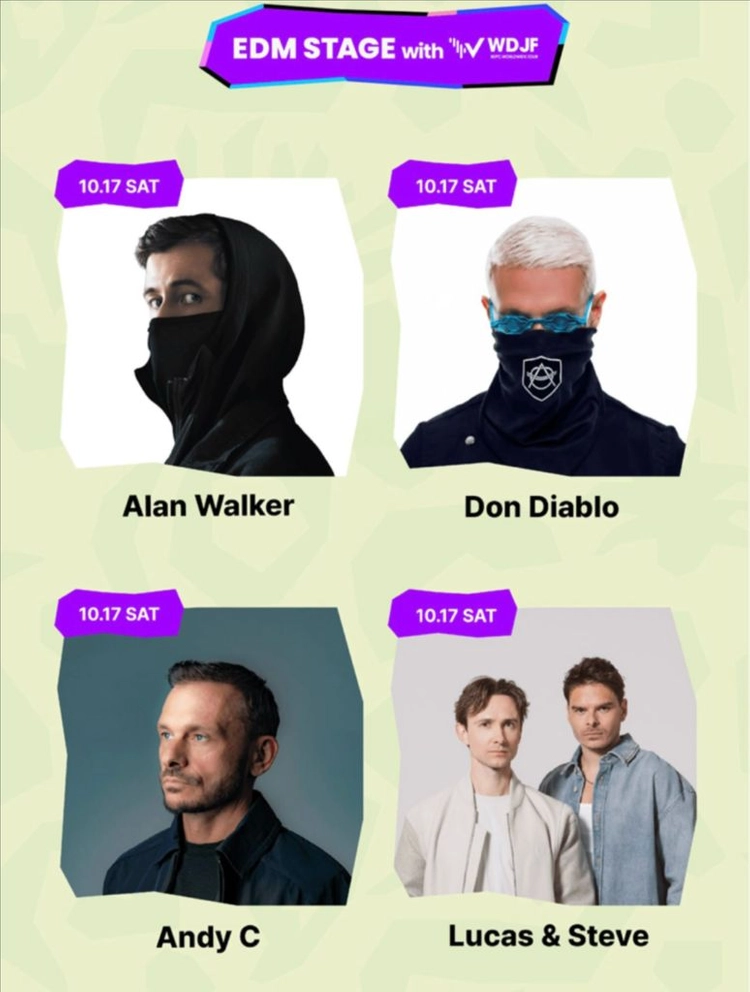 NOL 페스티벌 입장권 2매 (Alan Walker) 이미지