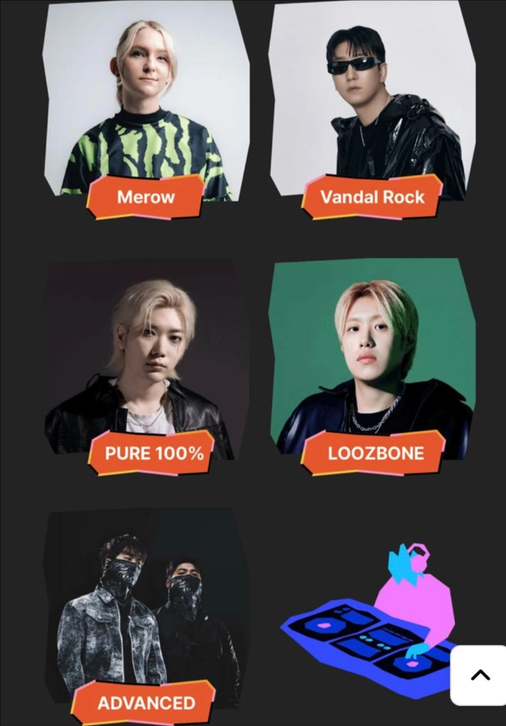 NOL 페스티벌 입장권 2매 (Alan Walker) 이미지