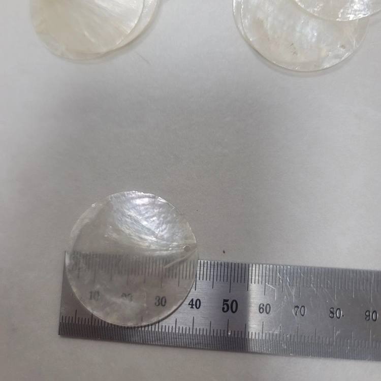 40mm 크림자개 펜던트 70개 이미지