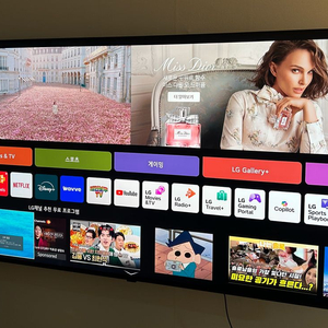 LG QNED 65인치 TV (벽걸이형) 이미지