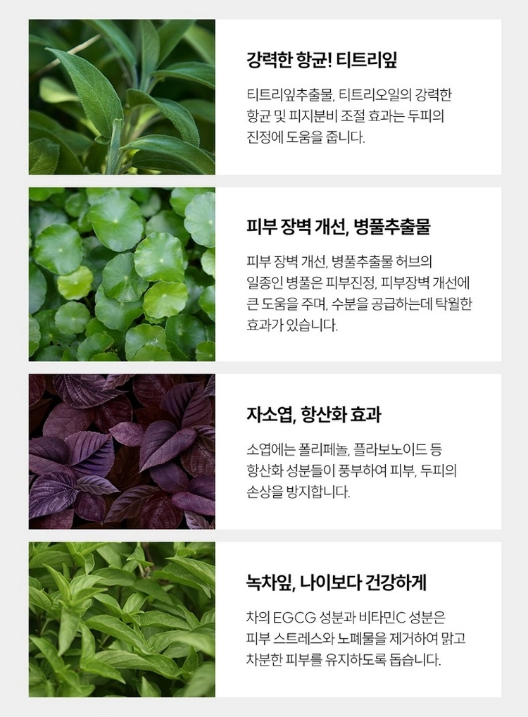용닥터 두피 진정 토닉 100ml 미개봉 새제품 영양 토닉, 보습제, 두피열, 각질예방, 비오틴 이미지