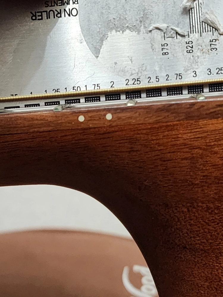 고퍼우드 G520ce 통기타 이미지