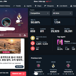 발로란트 레디언트 총기장식 이미지