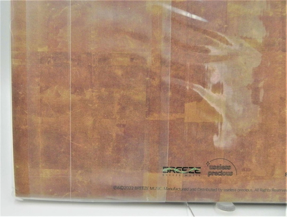 (미개봉/희귀/한정판) 이상은 6집 공무도하가 LP (2022 재반 브리즈뮤직 한정반 UPLP-02) 이미지