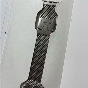애플워치 티타늄 밀레니즈루프 내추럴 49mm SS급 이미지