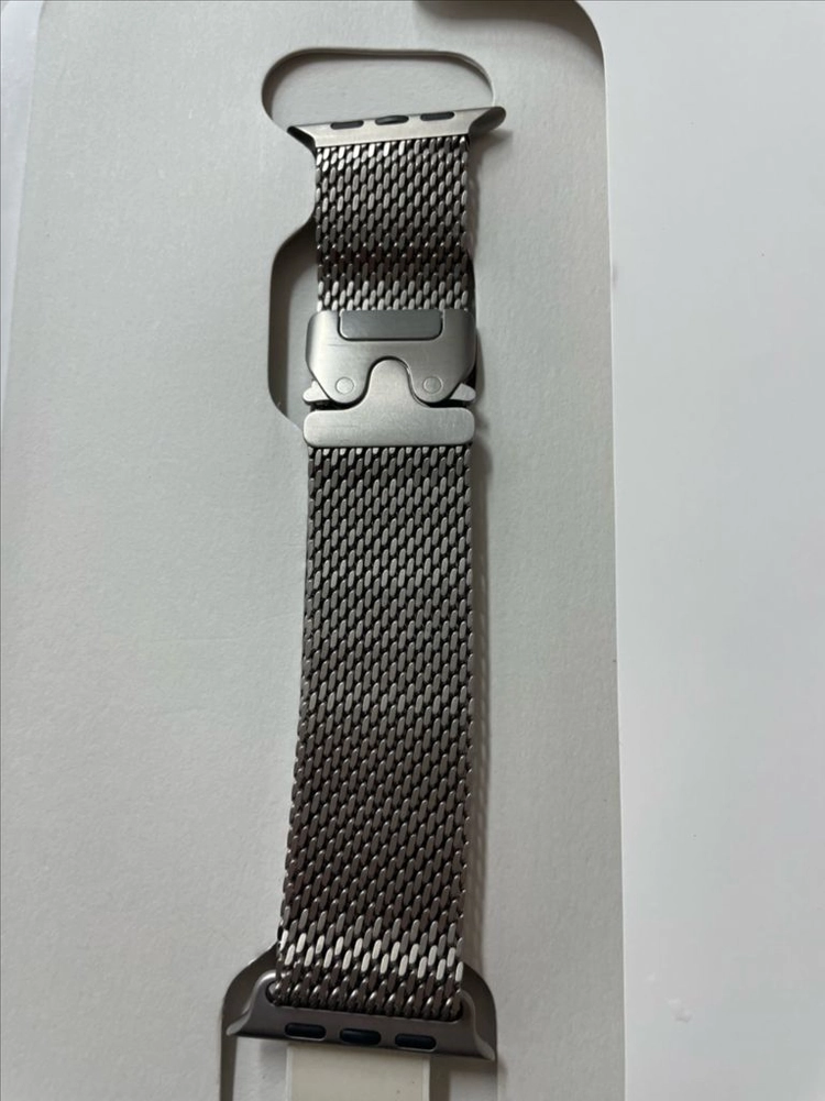 애플워치 티타늄 밀레니즈루프 내추럴 49mm SS급 이미지