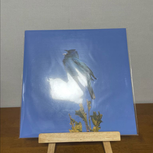 (미개봉) 윤지영 - Blue bird LP 이미지
