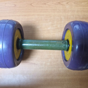 금강 KUMKANG 6kg 아령 덤벨 이미지