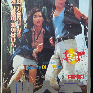 여명의 선인장 비디오테이프 이미지