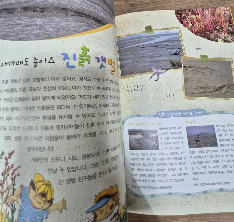 신나는 교과서 체험학습 전집 이미지