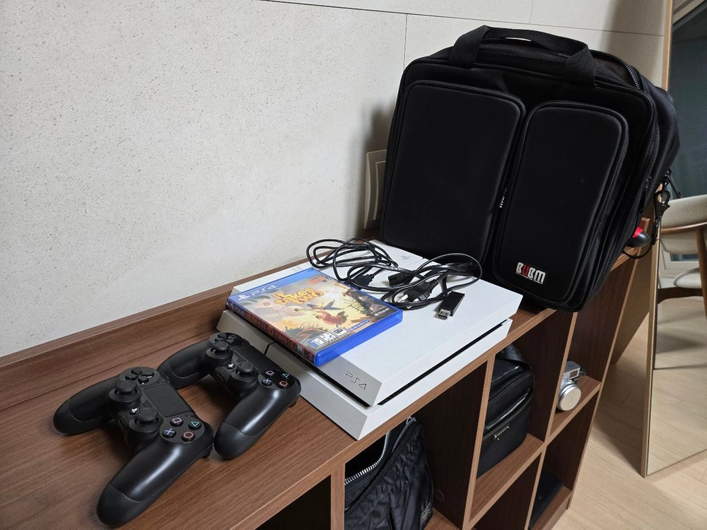 PS4 듀얼쇼크2개 + 플스 가방 + 잇테이크투 +동글 팜 플스4 - 안심되는 중고거래