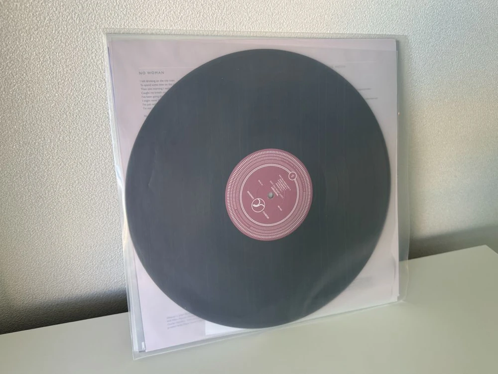 Whitney - Light Upon the Lake LP 이미지