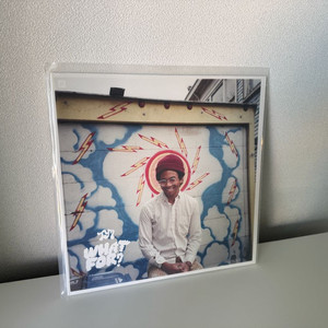 Toro y Moi - What For? LP 이미지