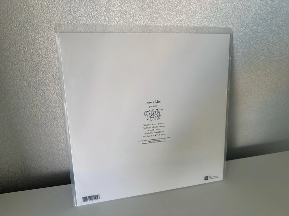 Toro y Moi - What For? LP 이미지