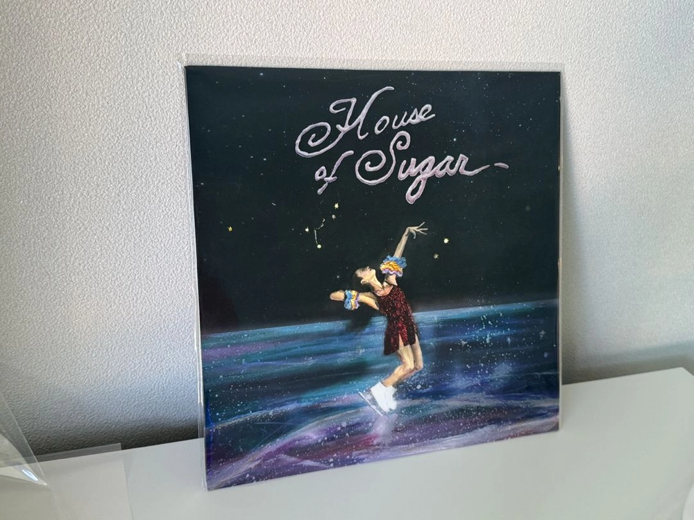 Alex G - House of Sugar LP 이미지