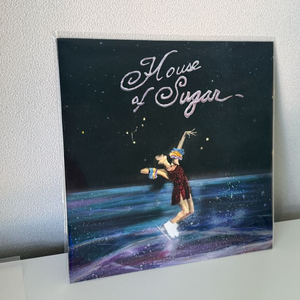 Alex G - House of Sugar LP 이미지