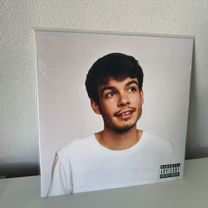 Rex Orange County - Pony LP 이미지