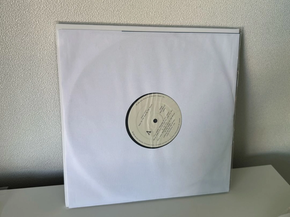 Steve Hiett - Down on the Road by the Beach LP 이미지