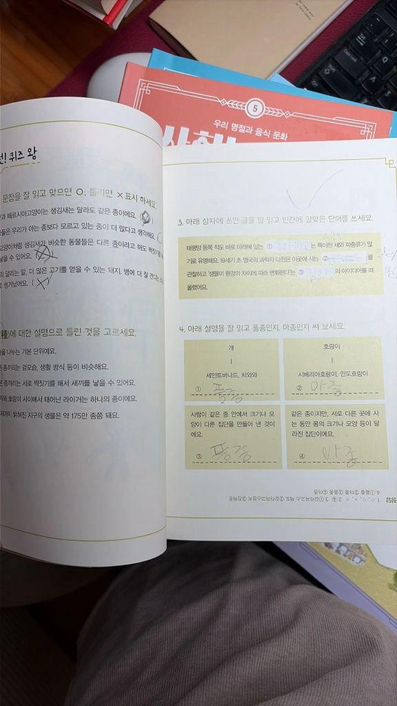 비룡소 사회는 쉽다 14권 과학은 쉽다 8권 이미지