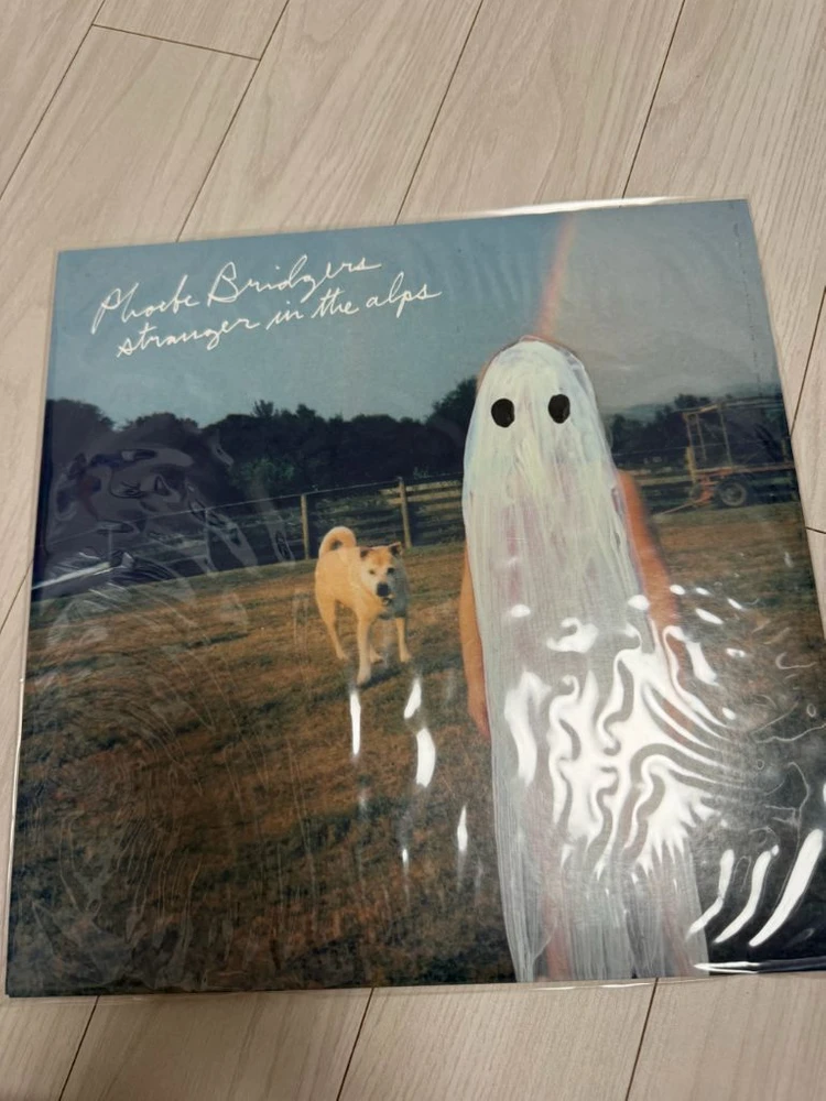 피비 브리저스 (phoebe bridgers) strangers in the alps 이미지