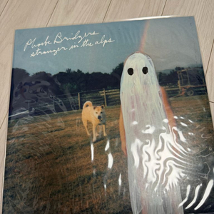 피비 브리저스 (phoebe bridgers) strangers in the alps 이미지