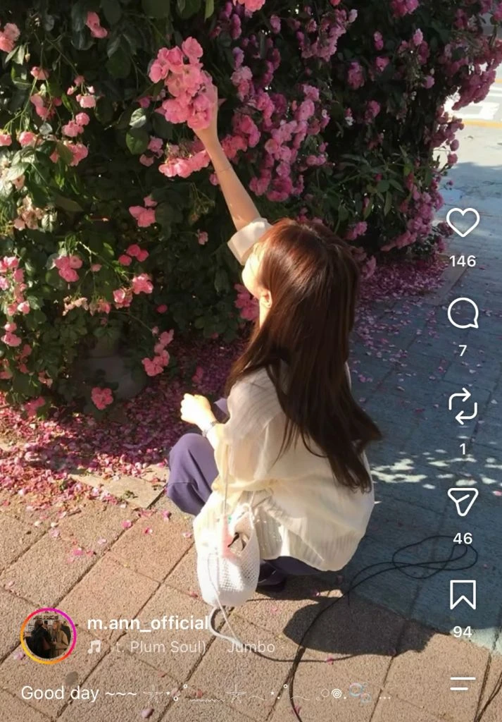 므앤 레모니 셔츠, 르벤 팬츠 m 세트 이미지