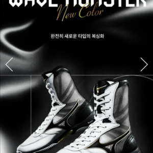 미즈노 몬스터웨이브 복싱화 이미지