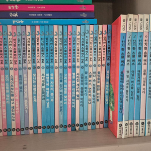 신기한 스쿨버스 이미지